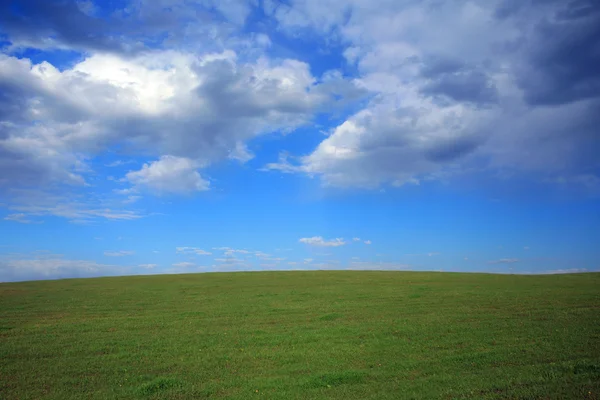 绿地和天空 — 图库照片