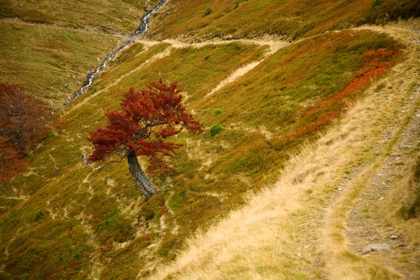 stock image Beautiful hill