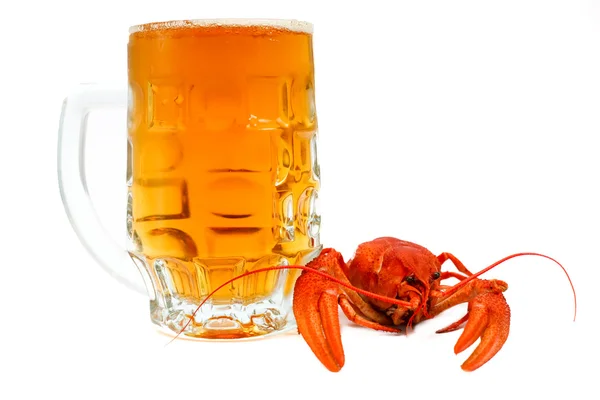 啤酒和小龙虾 — 图库照片