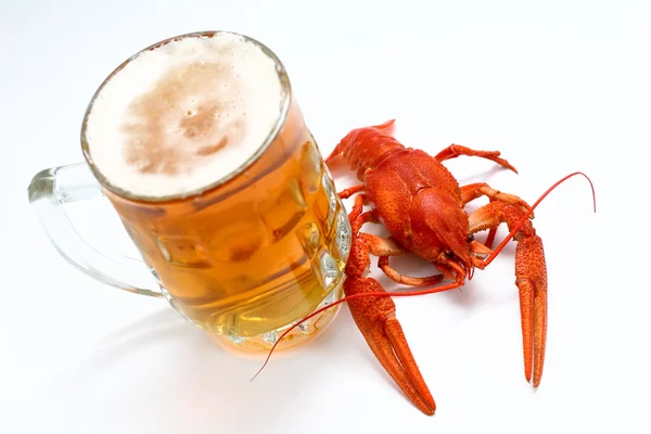 Cerveja e lagostim — Fotografia de Stock