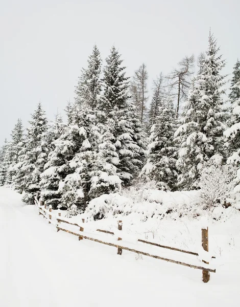 美丽的冬天 — 图库照片