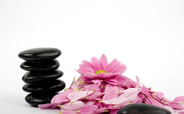Stack of black stones and flower — Stock Photo, Image