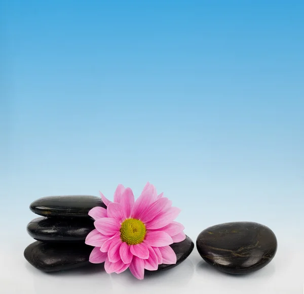 Steine und Blumen für den Wellnessbereich — Stockfoto