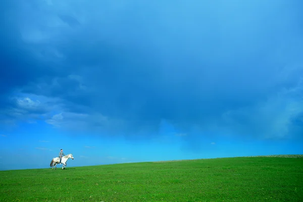 Cavaleiro em cavalo branco — Fotografia de Stock