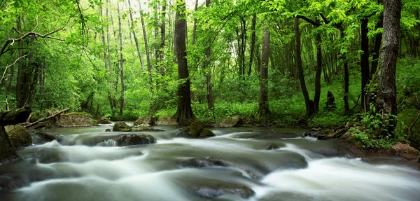 Río en bosque de primavera — Foto de Stock