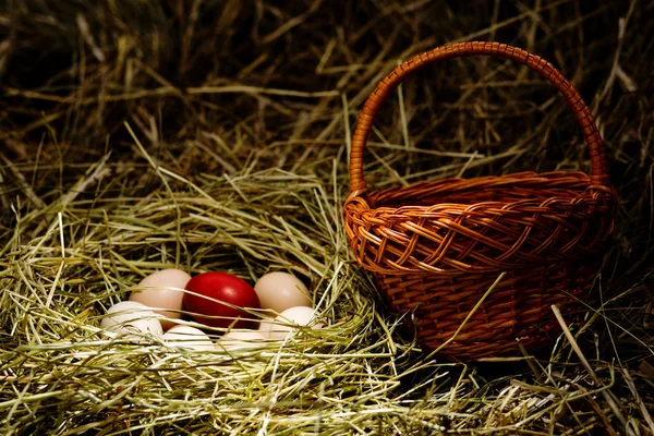 Eggs in a nest — Stock Photo, Image