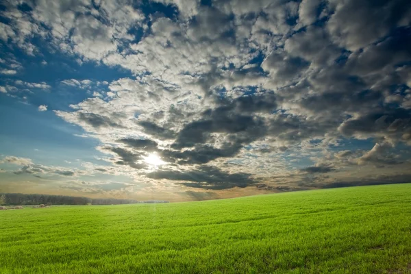 绿色作物日落ηλιοβασίλεμα πάνω από την Πράσινη καλλιέργειες — 图库照片