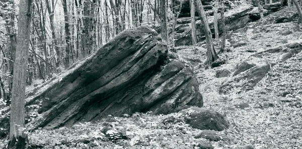 stock image Old stone