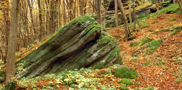 Piedra vieja — Foto de Stock