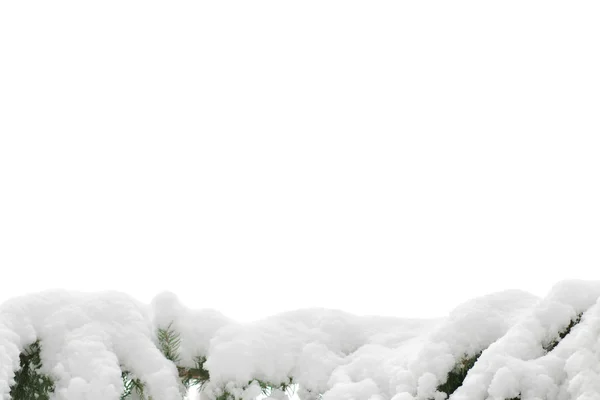 Kar örtüsü — Stok fotoğraf