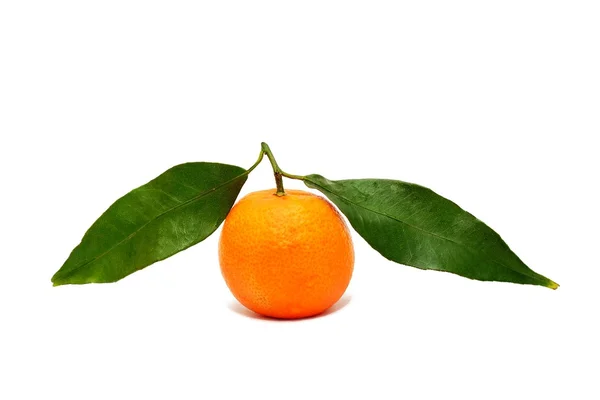 Mandaryn pomarańczowy z liści — Zdjęcie stockowe