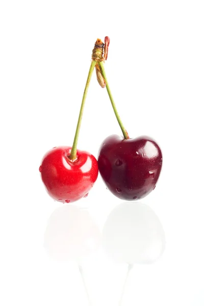 Cherries on white — Stock Photo, Image