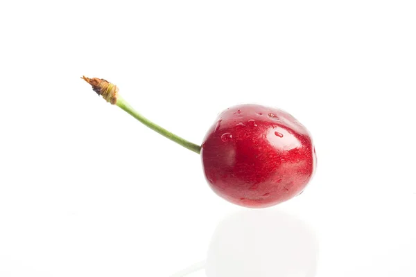 Cereza roja sobre fondo blanco — Foto de Stock