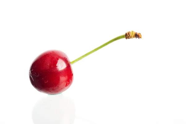 Czerwona wiśnia na białym — Zdjęcie stockowe