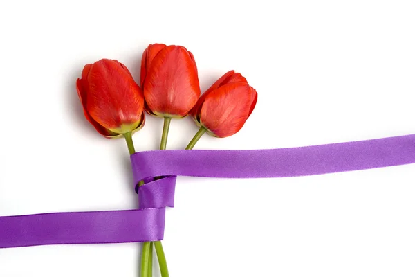 Tulipes avec ruban violet — Photo