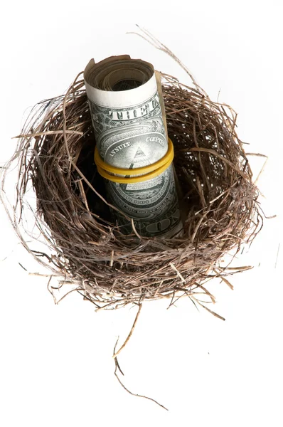 Roll of banknotes in nest. — Stock Photo, Image