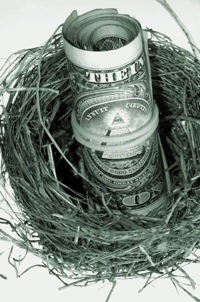 Roll dollars in nest. zwart-wit. — Stockfoto