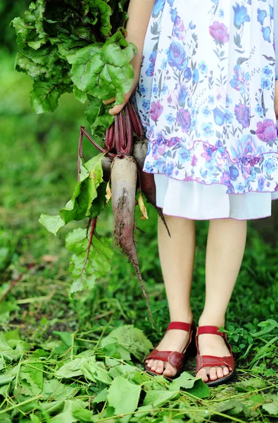 Дівчина з beetroots — стокове фото