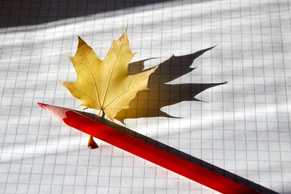 Pencil and leaf — Stock Photo, Image