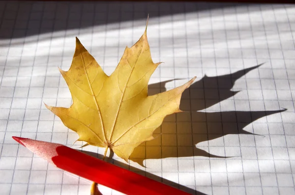 Pencil and maple leaf — Stock Photo, Image