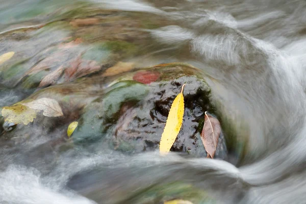 Entre um rio — Fotografia de Stock