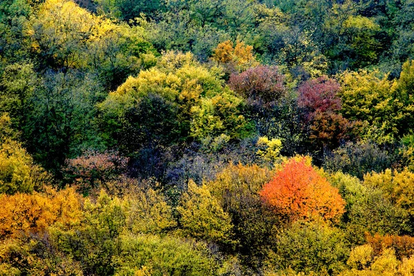 Осенний фон II — стоковое фото