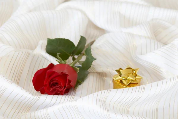 Rose and box — Stock Photo, Image