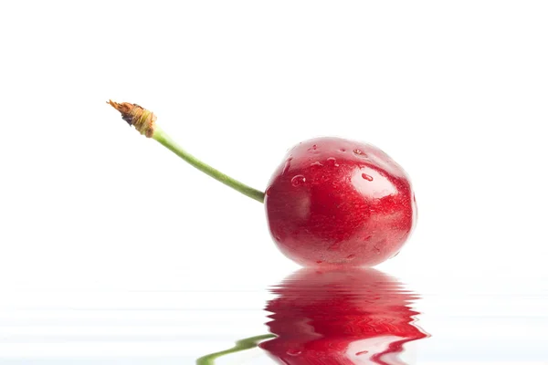 Red berry — Stock Photo, Image