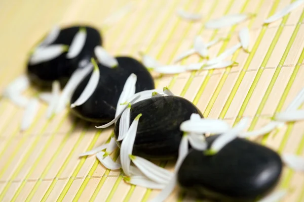 Stones for massage — Stock Photo, Image