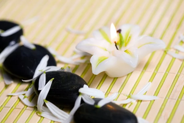 Schwarze Steine mit Blütenblättern — Stockfoto
