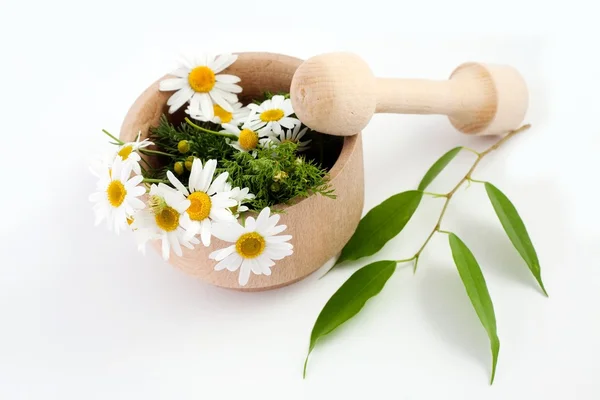 Flowers in mortar — Stock Photo, Image