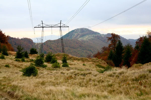 Power lines — Stock Photo, Image