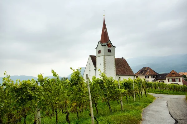 Vine and chapel — Stock Photo, Image