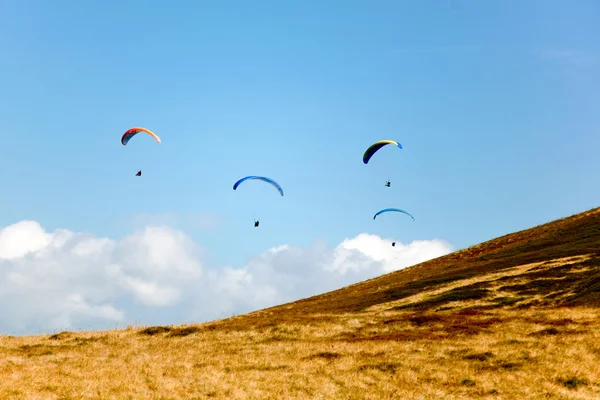 stock image Gliders