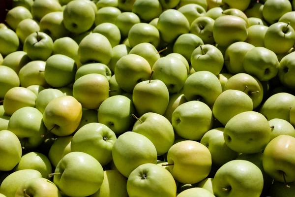 Pommes vertes — Photo