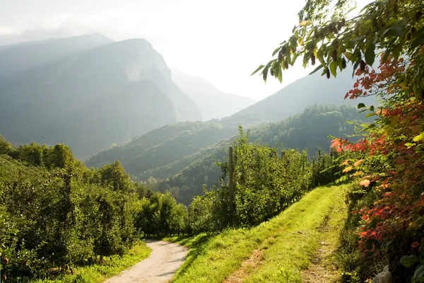 Prachtige natuur — Stockfoto