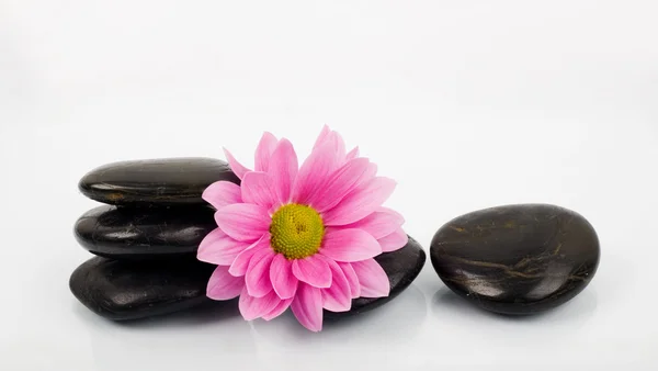 Stones for SPA — Stock Photo, Image