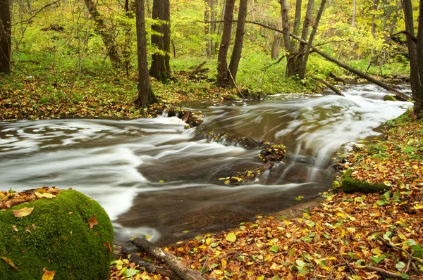 Rio entre árvores de outono — Fotografia de Stock
