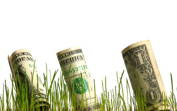 Dollar in grass