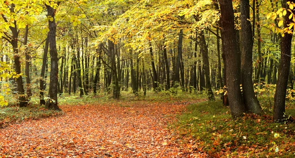 Jesienna panorama — Zdjęcie stockowe