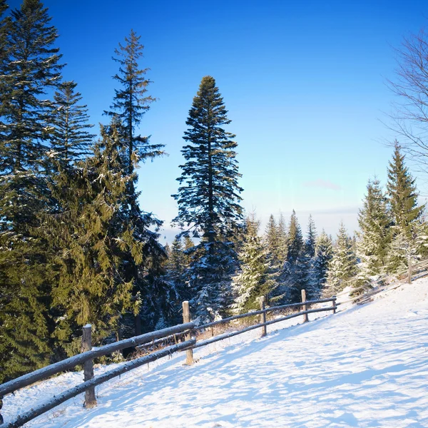 Дорога в зимових горах — стокове фото