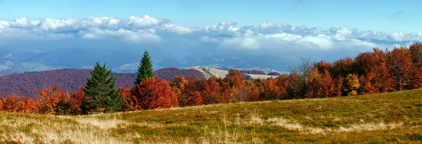 秋の山 — ストック写真