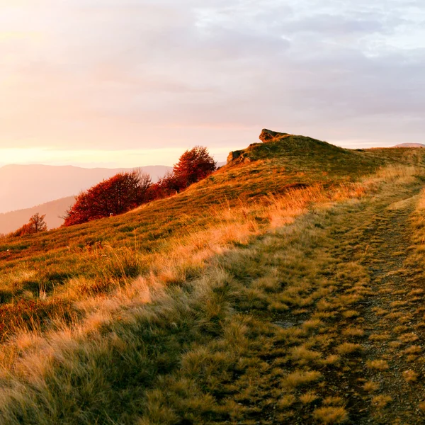 Strada in montagna — Foto Stock