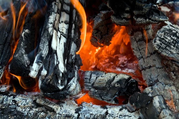 Logs in fire — Stock Photo, Image