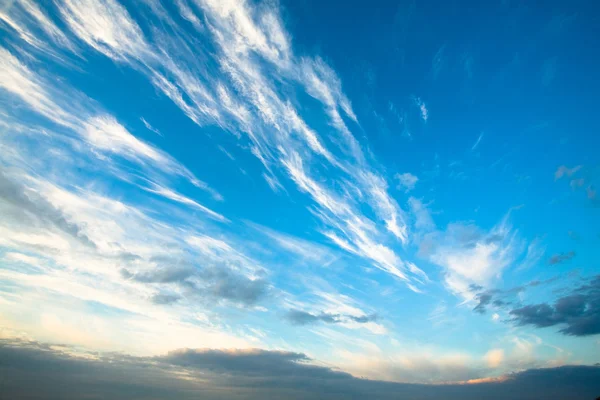 Pilvikasvu — kuvapankkivalokuva