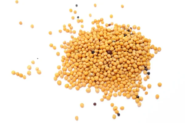 Seeds of mustard — Stock Photo, Image