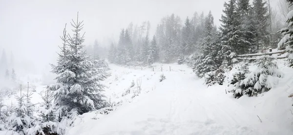 Camino de invierno — Foto de Stock