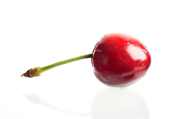 Red on white — Stock Photo, Image