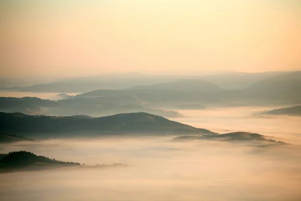 Туман — стоковое фото