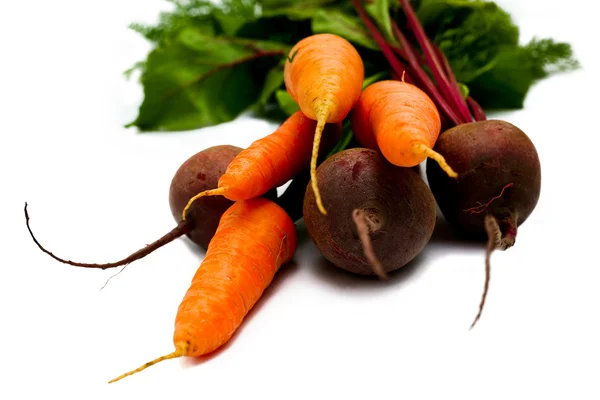 Carrot and beet — Stock Photo, Image